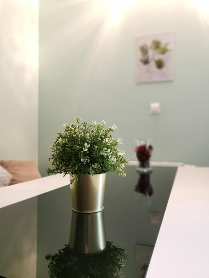 ורוצלב Maglonia Apartment מראה חיצוני תמונה